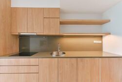 Queens Peak (D3), Condominium #533863931
